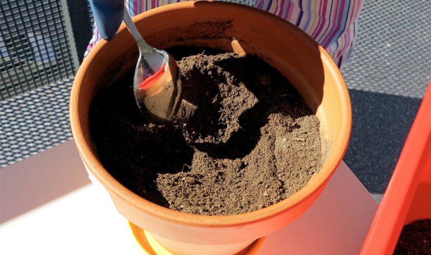 Підготовка грунту