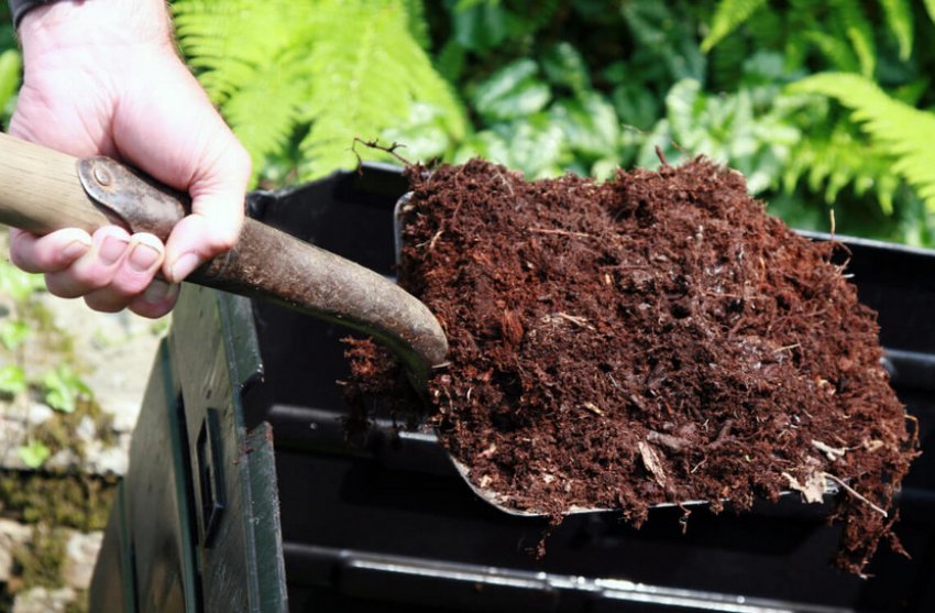 Добриво для ґрунту