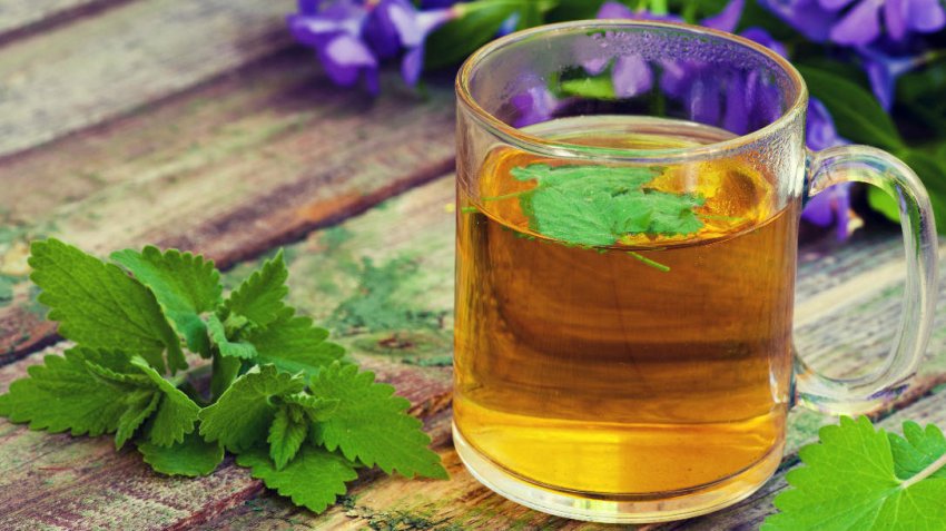 Чай с мелиссой Чай с мелиссой