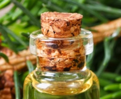 Лікувальні властивості та застосування масла чорносмородини, протипоказання