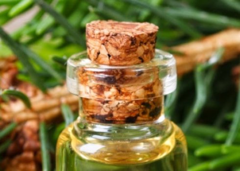 Лікувальні властивості та застосування масла чорносмородини, протипоказання