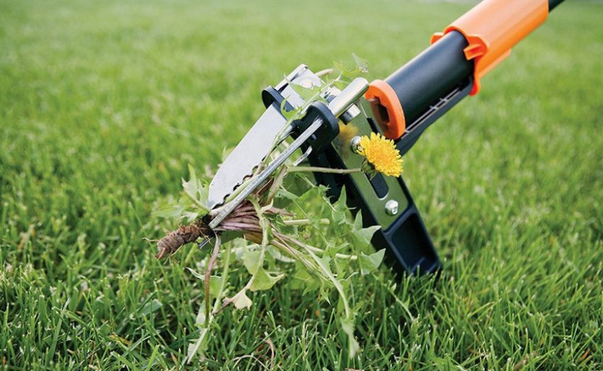 Видалення бур'янів