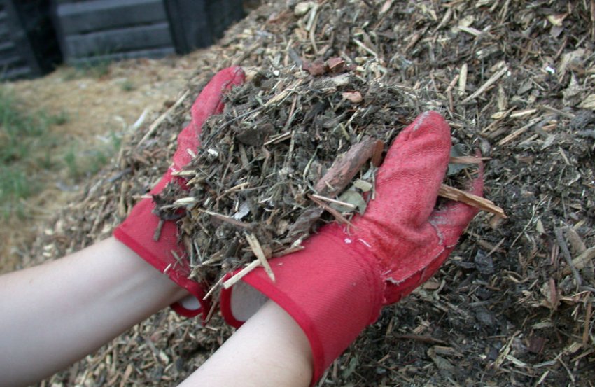 Мульчування