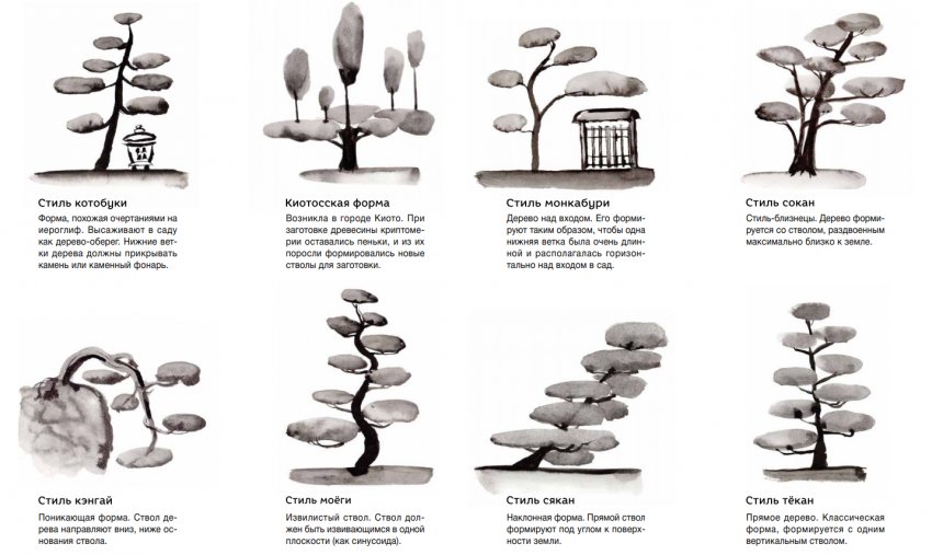 Стилі та форми нівакі Стилі та форми нівакі