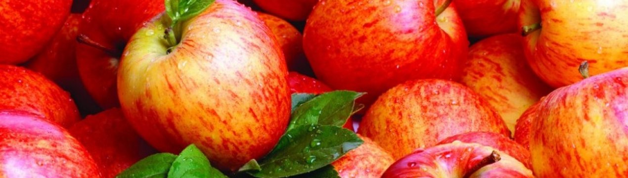 Французькі садівники відчувають недостачу робочої сили