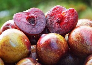 Сливи в форме сердца произвели фурор на мадридской выставке