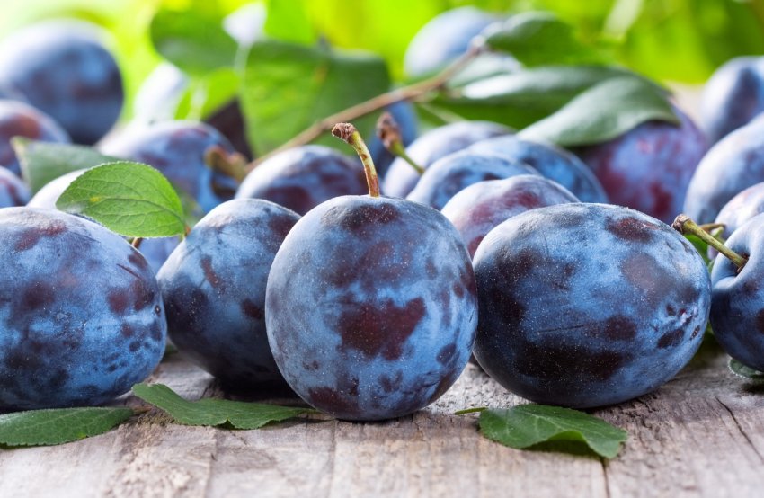 Сливи у формі сердеця вразили на мадридській виставці