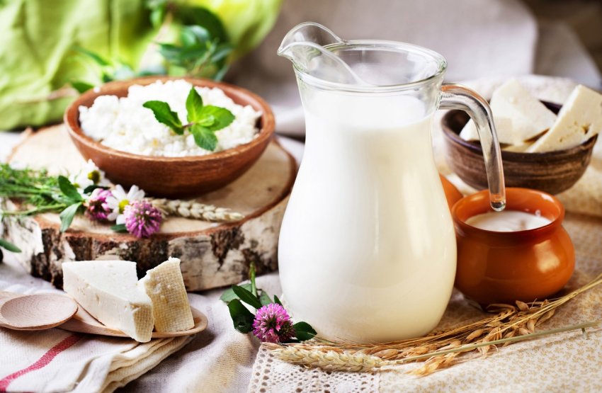 В Луганській області відкрився новий молокозавод В Луганській області відкрився новий молокозавод