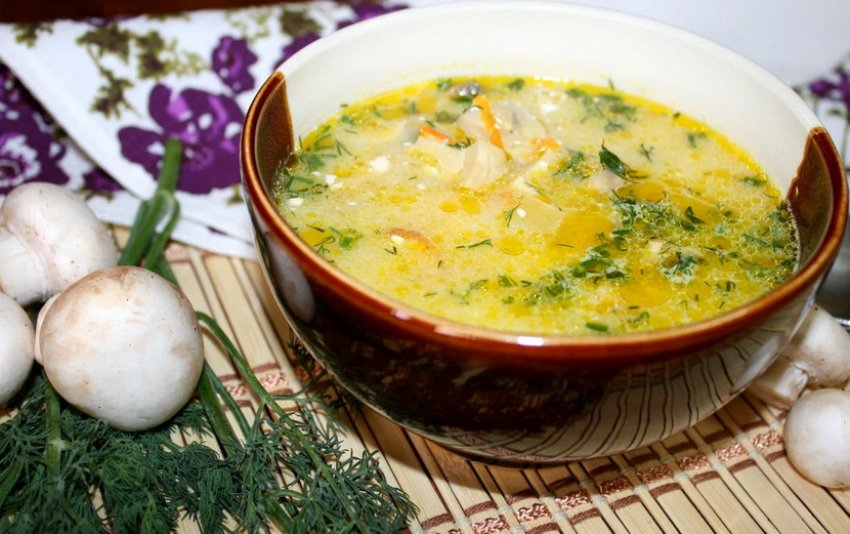 Сирний суп із грибами Сирний суп із грибами