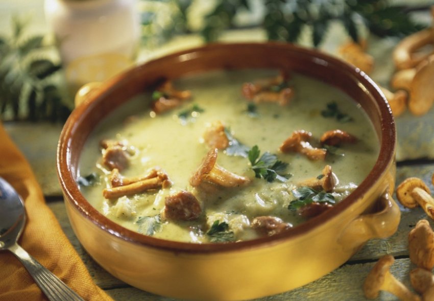 Крем-суп з опеньків Крем-суп з опеньків