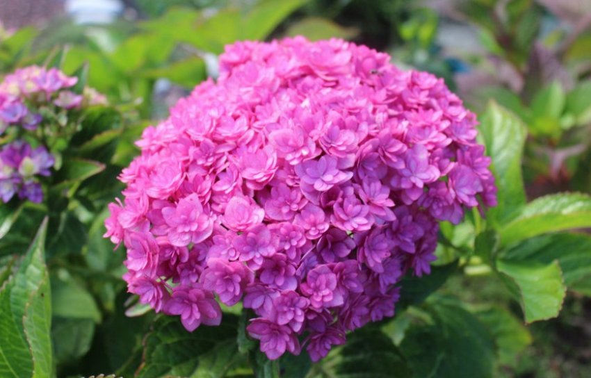 You and Me You and Me