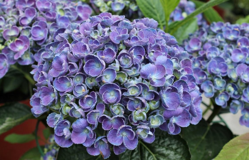 Ти і Я Ти і Я