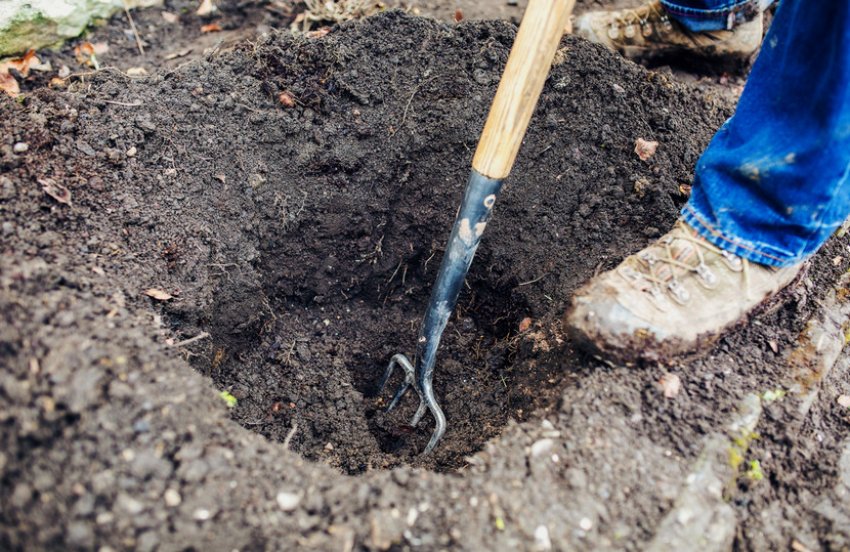 Яма для посадки Яма для посадки