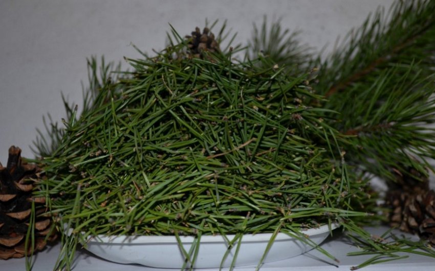 Соснові голки Соснові голки