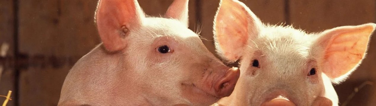 АСЕАН досягла Індонезії