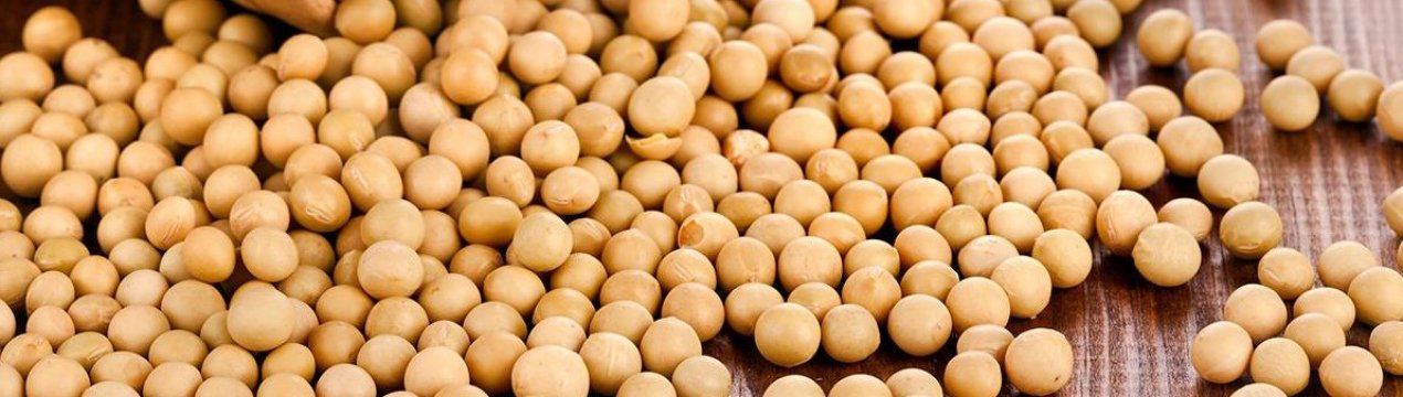 Франція зібрала рекордний врожай сої