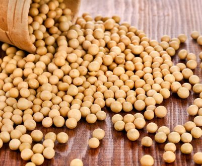 Франція зібрала рекордний врожай сої