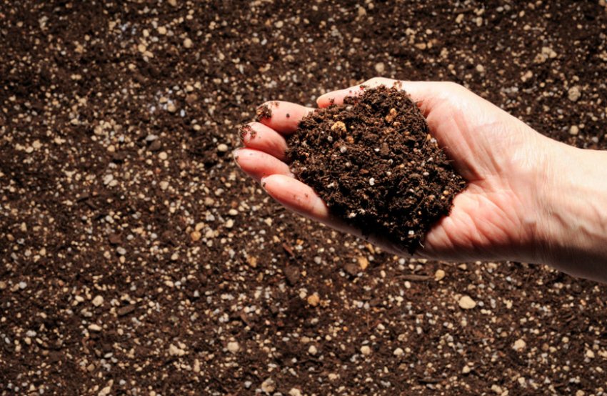 Обогащение грунта Обогащение грунта