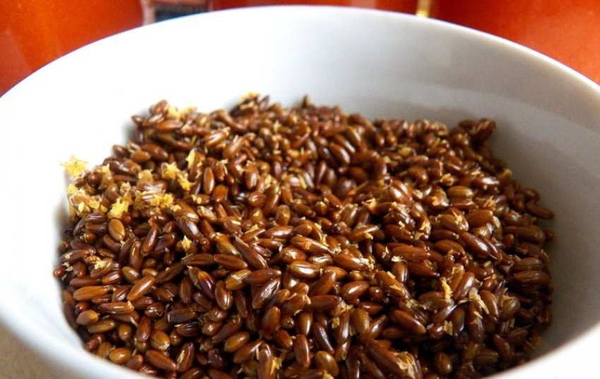 Семена обліпихи