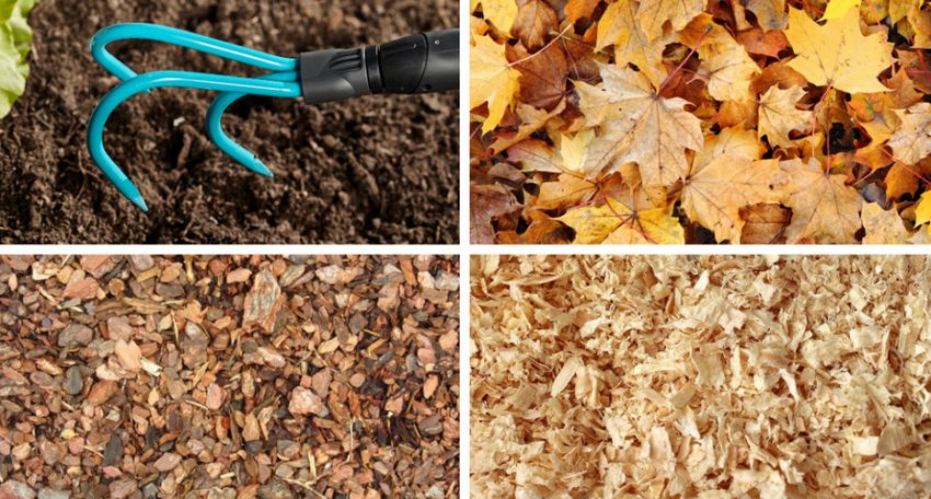 Рихлення і матеріал для мульчування