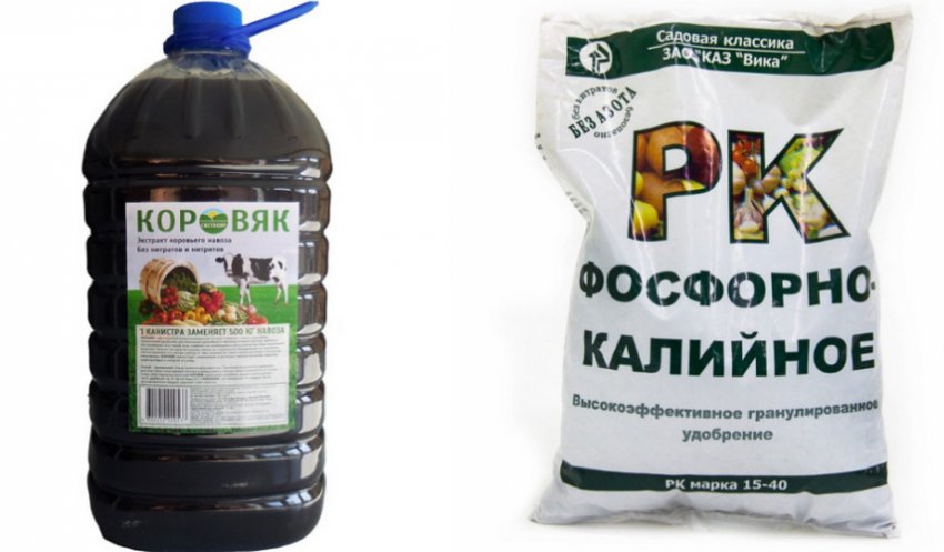 Подкормки для гортензії