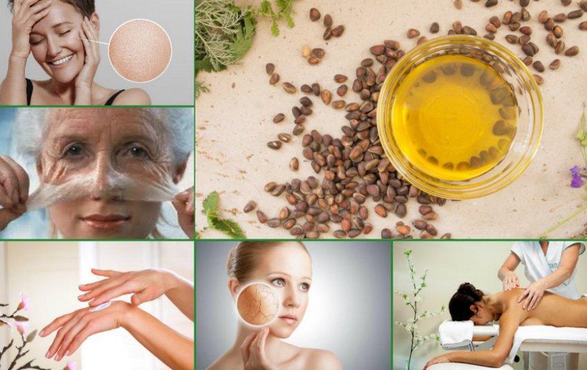 Застосування кедрового масла для жінок Застосування кедрового масла для жінок