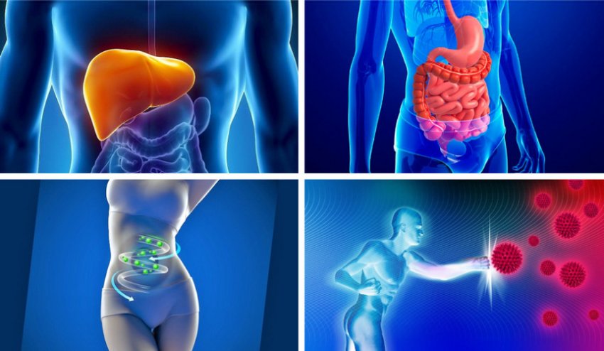 Показания к применению кедровой живицы Показания к применению кедровой живицы