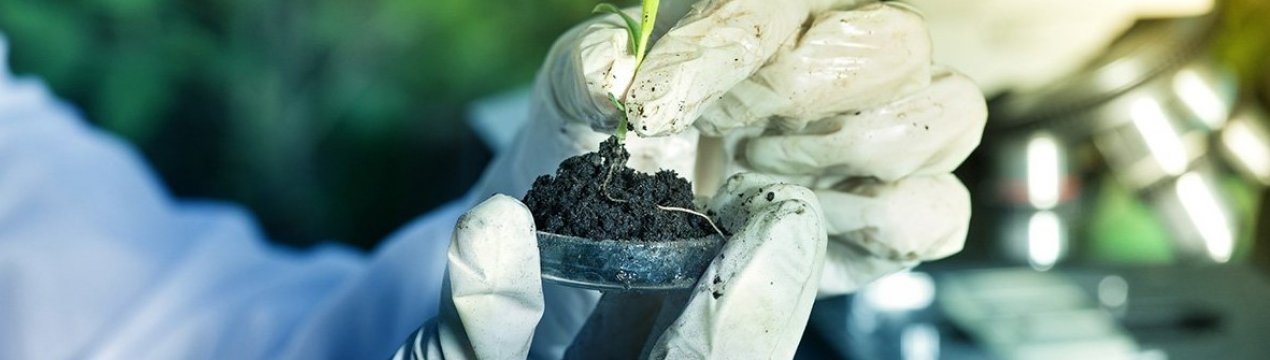 Фермерське господарство у Ровна підвищує врожайність за допомогою аналізу ґрунту