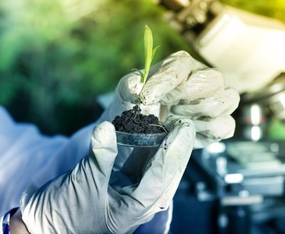 Фермерське господарство у Ровна підвищує врожайність за допомогою аналізу ґрунту