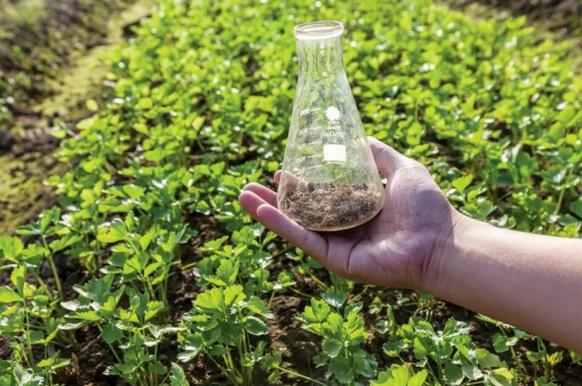 Рівненське господарство підвищує врожайність за допомогою аналізу ґрунту