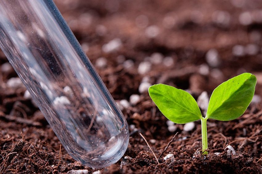 Рівненське господарство підвищує врожайність за допомогою аналізу ґрунту