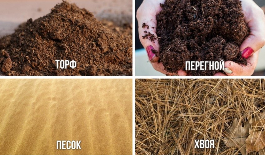 Компоненти для заповнення посадкової ями