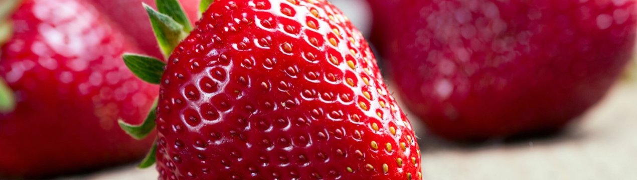 На фермах Іспанії немає хто б собірати полуницю