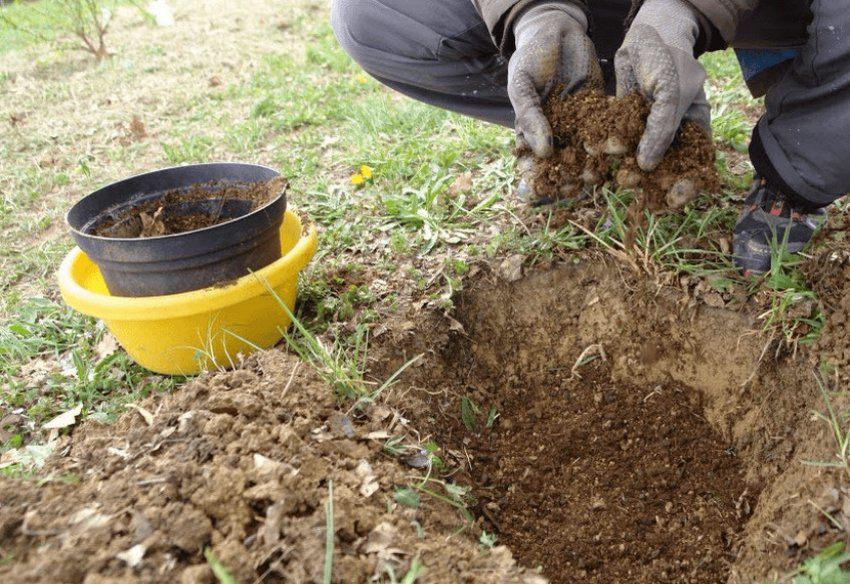Підготовка ґрунту Підготовка ґрунту