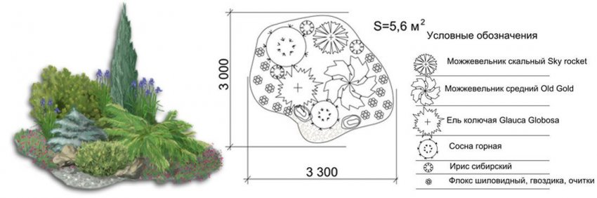 Композиция с можжевельниками
