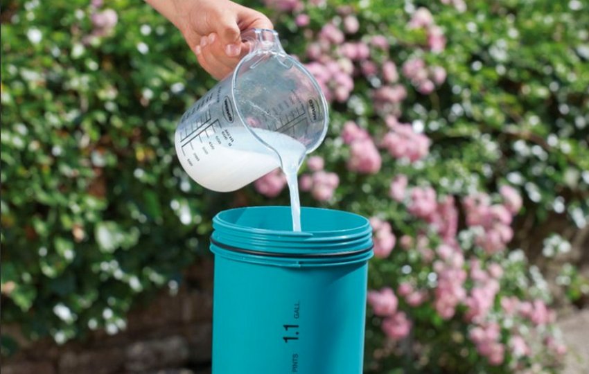 Добрива гортензії Добрива гортензії