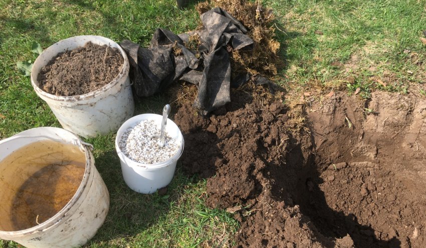 Підготовка посадкової ями