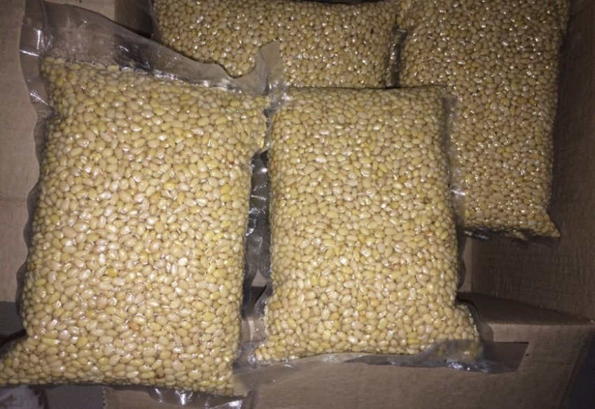 Зберігання кедрових горішків у вакуумних пакетах Зберігання кедрових горішків у вакуумних пакетах