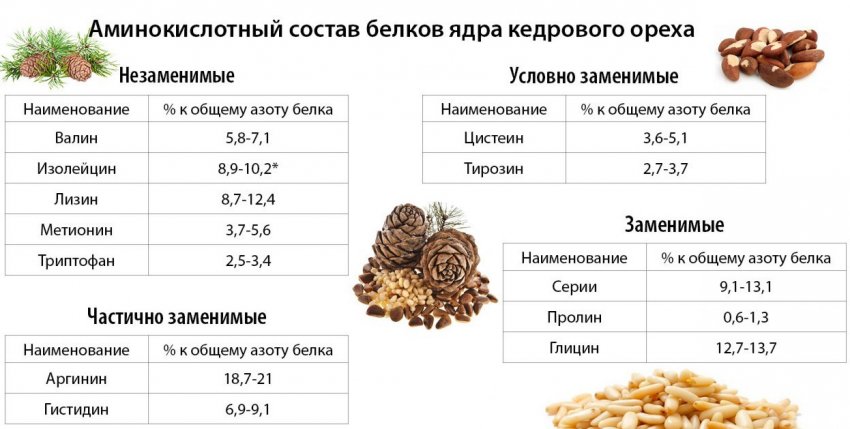 Склад кедрових горішків Склад кедрових горішків