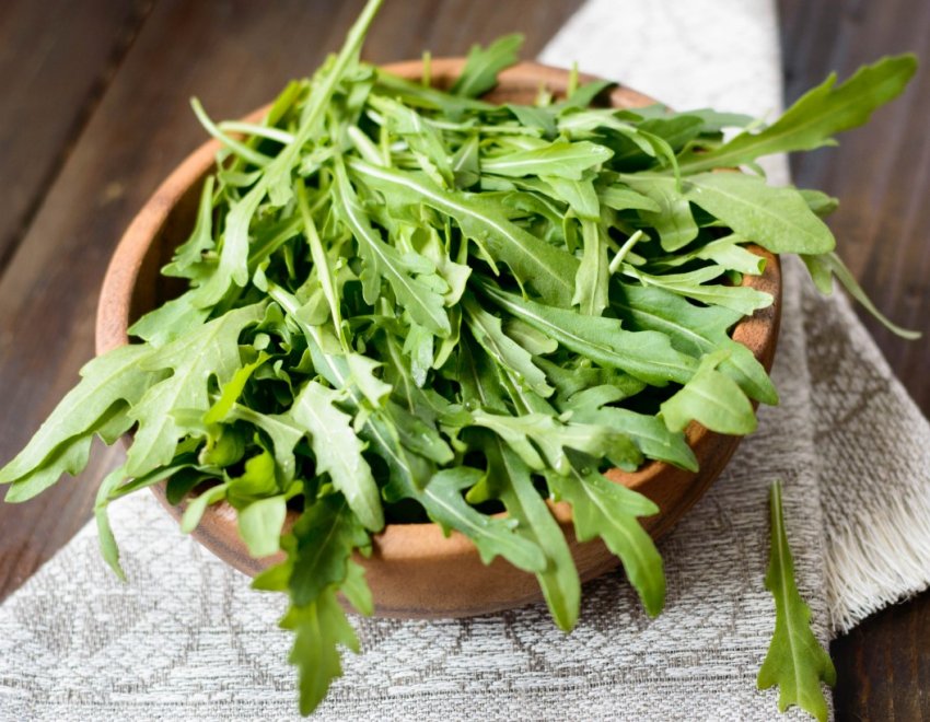 У пакетувальних листкових овочах по всьому світу виявлені патогени У пакетувальних листкових овочах по всьому світу виявлені патогени