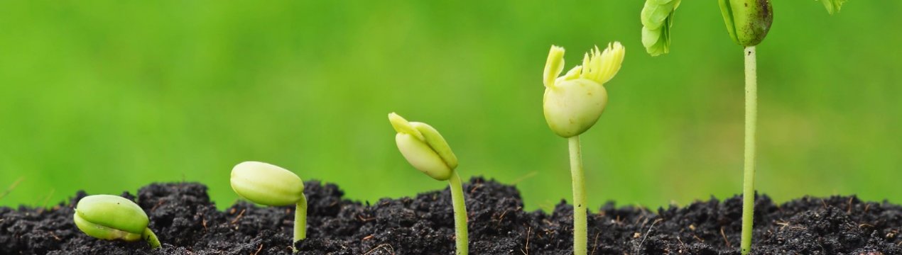 У новому центрі в Бельгії будуть досліджувати комах та рослини