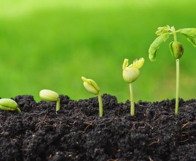 У новому центрі в Бельгії будуть досліджувати комах та рослини