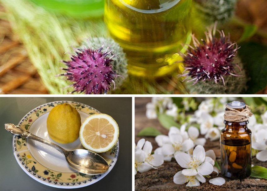 Необхідні інгредієнти Необхідні інгредієнти