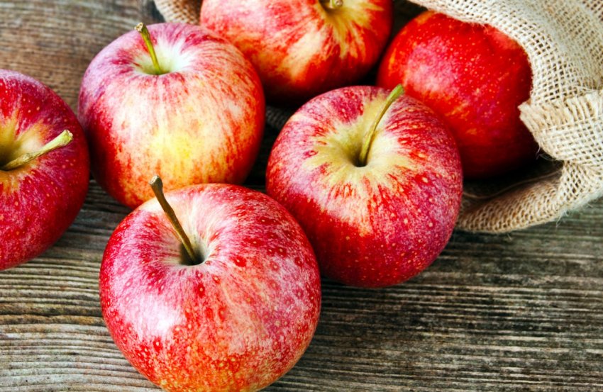 Самарські садівники збільшили виробництво яблук Самарські садівники збільшили виробництво яблук