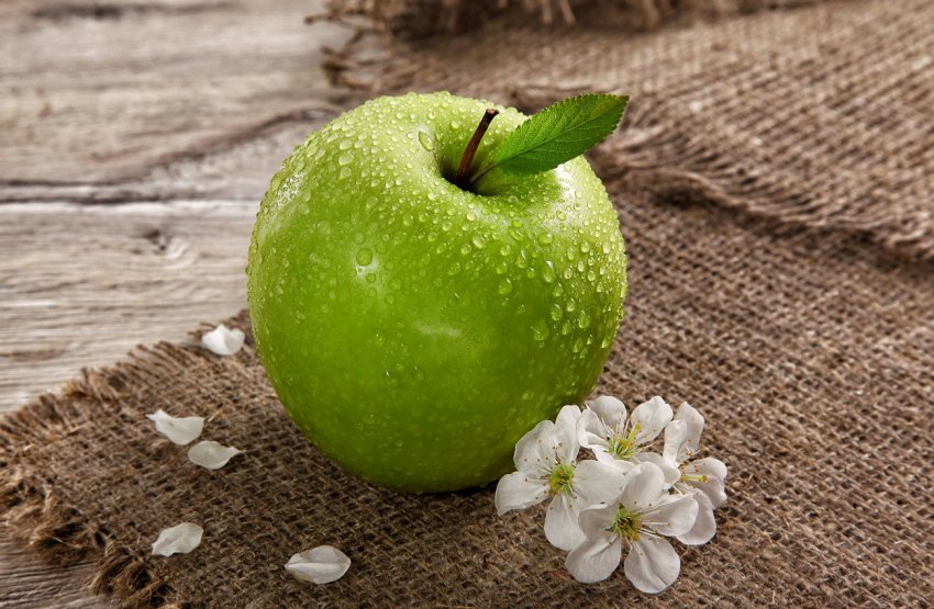 Самарські садівники збільшили виробництво яблук Самарські садівники збільшили виробництво яблук