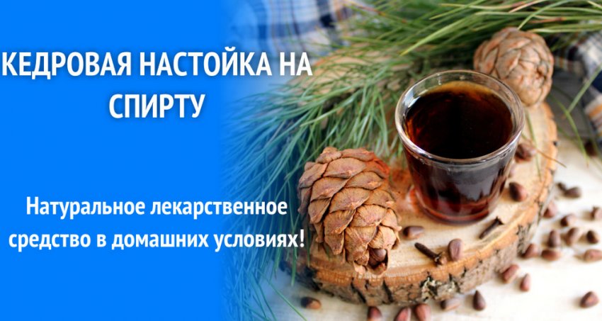 Кедровая настойка