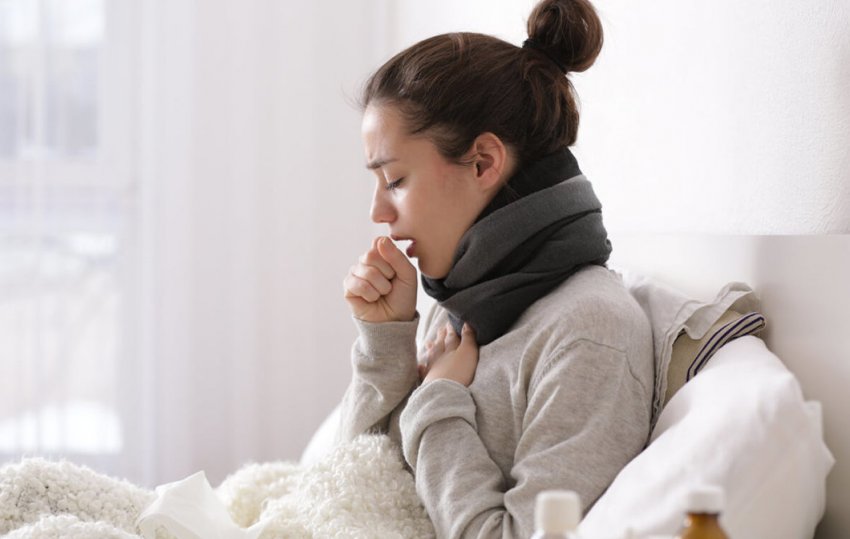 Кедрова живиця при кашлі Кедрова живиця при кашлі