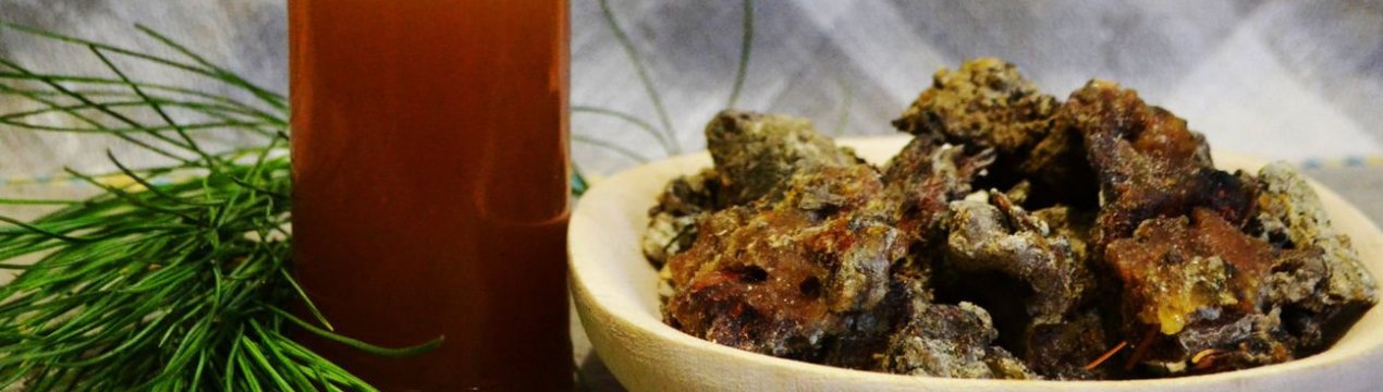 Застосування кедрової дьогтю: показання і дозування