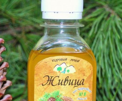Користь та шкода кедрової живиці на маслі для організму