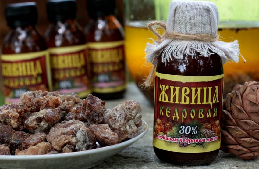 Масло кедровой живицы для чего. Смотреть фото Масло кедровой живицы для чего. Смотреть картинку Масло кедровой живицы для чего. Картинка про Масло кедровой живицы для чего. Фото Масло кедровой живицы для чего
